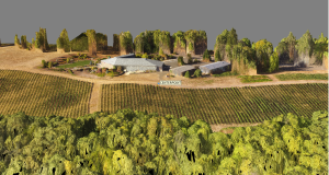 3D point cloud from UAV flight referenced to GCPs