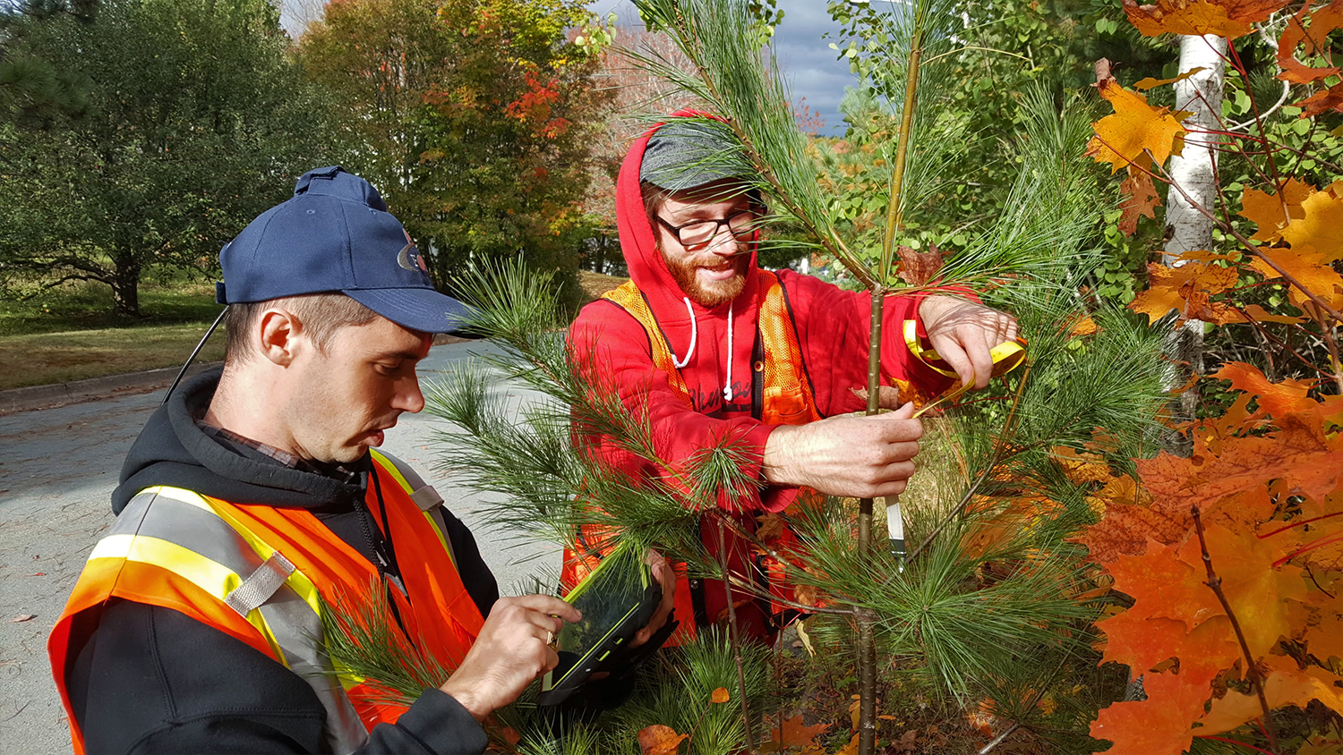 Halifax Students Ensure the Replacement of $270,000 Worth of Trees Under Warranty by Using Spatial Inventory and the Arrow 100