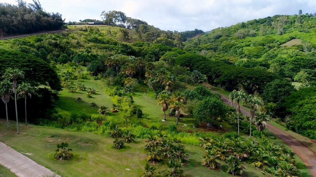 3 ways handheld gps receivers support International Biodiversity Day