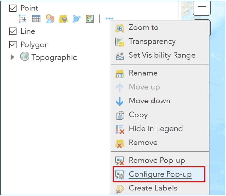 ArcGIS configure popup