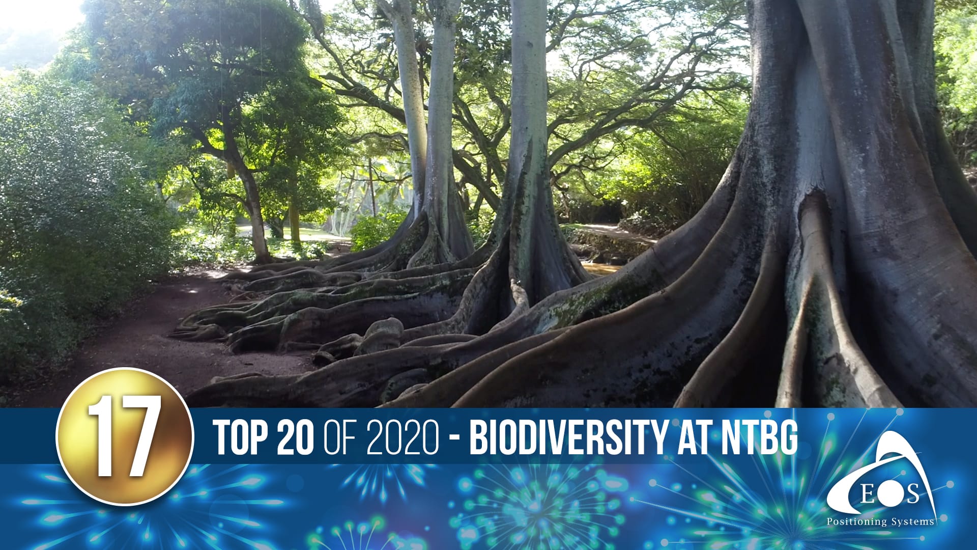 Eos Positioning Systems blog top articles of 2020: 17 - Biodiversity at NTBG