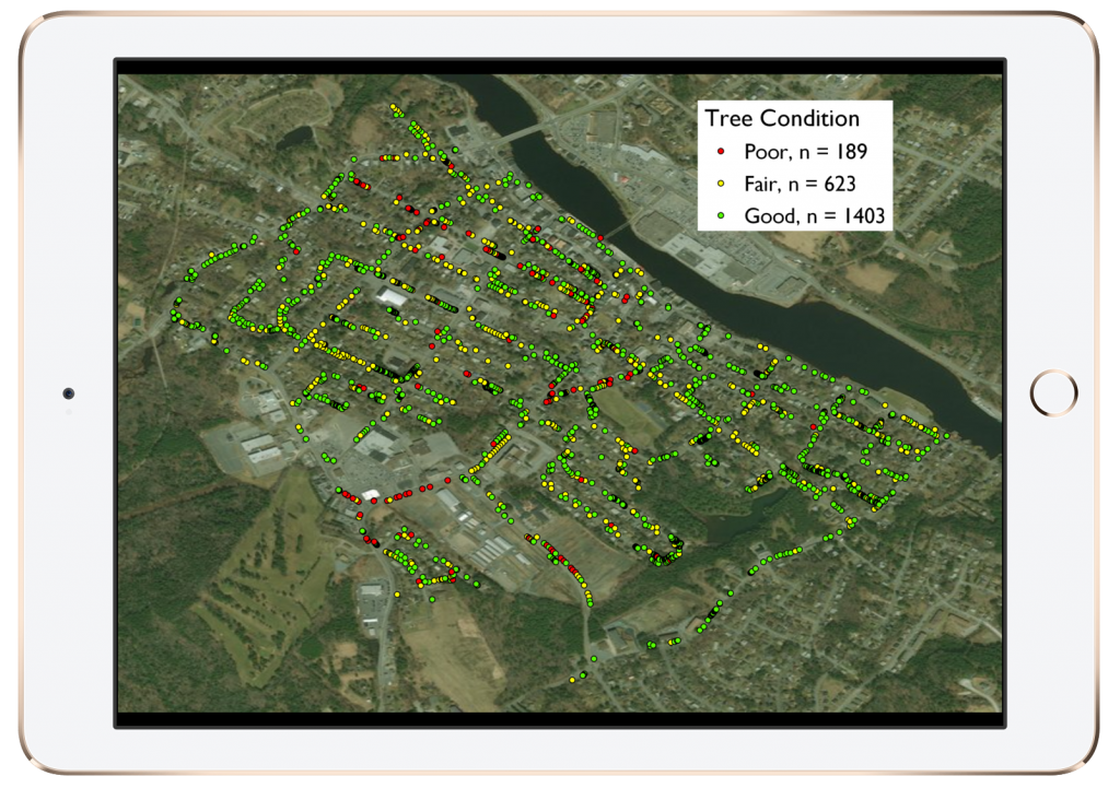 Halifax Students Use Arrow 100 for Urban Forestry Project: Uncovering Health & Risks of One Town’s Trees