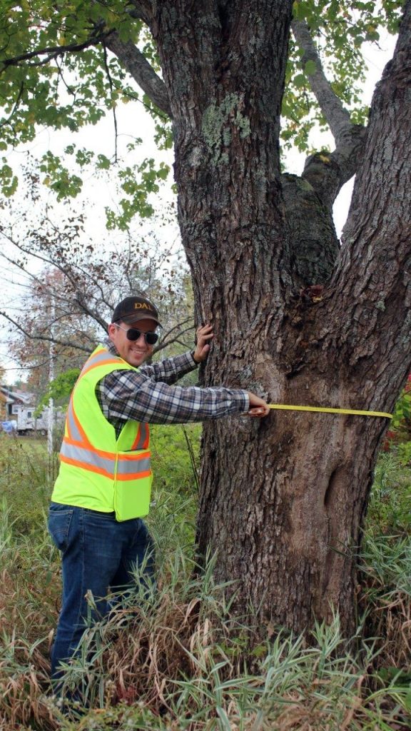 Halifax Students Use Arrow 100 for Urban Forestry Project: Uncovering Health & Risks of One Town’s Trees