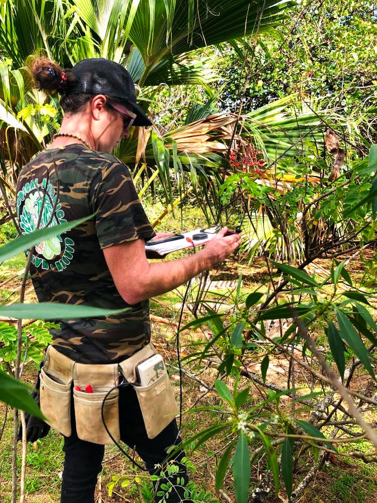 Arrow handheld GPS at the Hawaii national botanical gardens