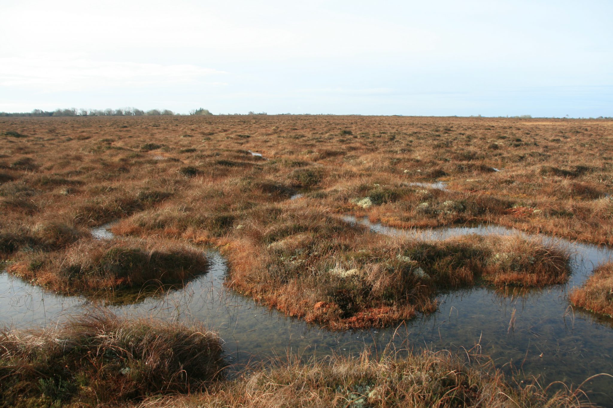 arrow 100-eos-wetland-irish surveyor monitors