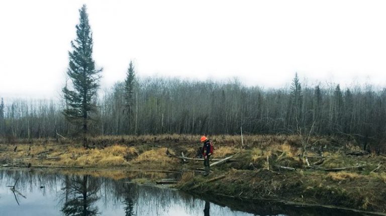 Mobile crews use geospatial technology to verify the locations of protected topographic features, such as this watercourse