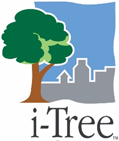Eos at the 2019 Global i-Tree Symposium; LOGO - iTREE