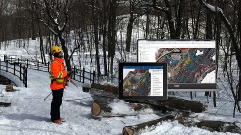 City of Montreal mapping emerald ash borer invasive species mapping Canada Eos Arrow 100 GNSS receiver Esri ArcGIS Collector Online