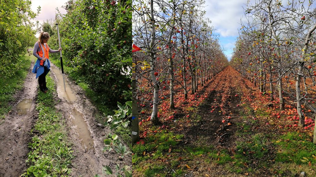 Mapping orchards with Australian-New Zealand SBAS page bloomer associates