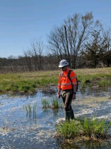 ESI walks through a field while mapping wetland delineations features with Arrow GNSS receivers, iOS, and the Ecobot app