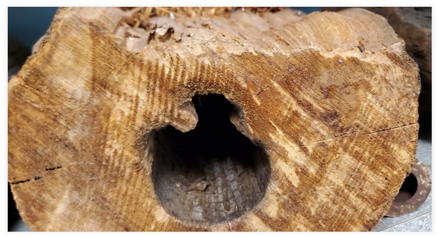 Historic 1800s wooden pipe from City of Wilmington Delaware in asset replacement project water utility