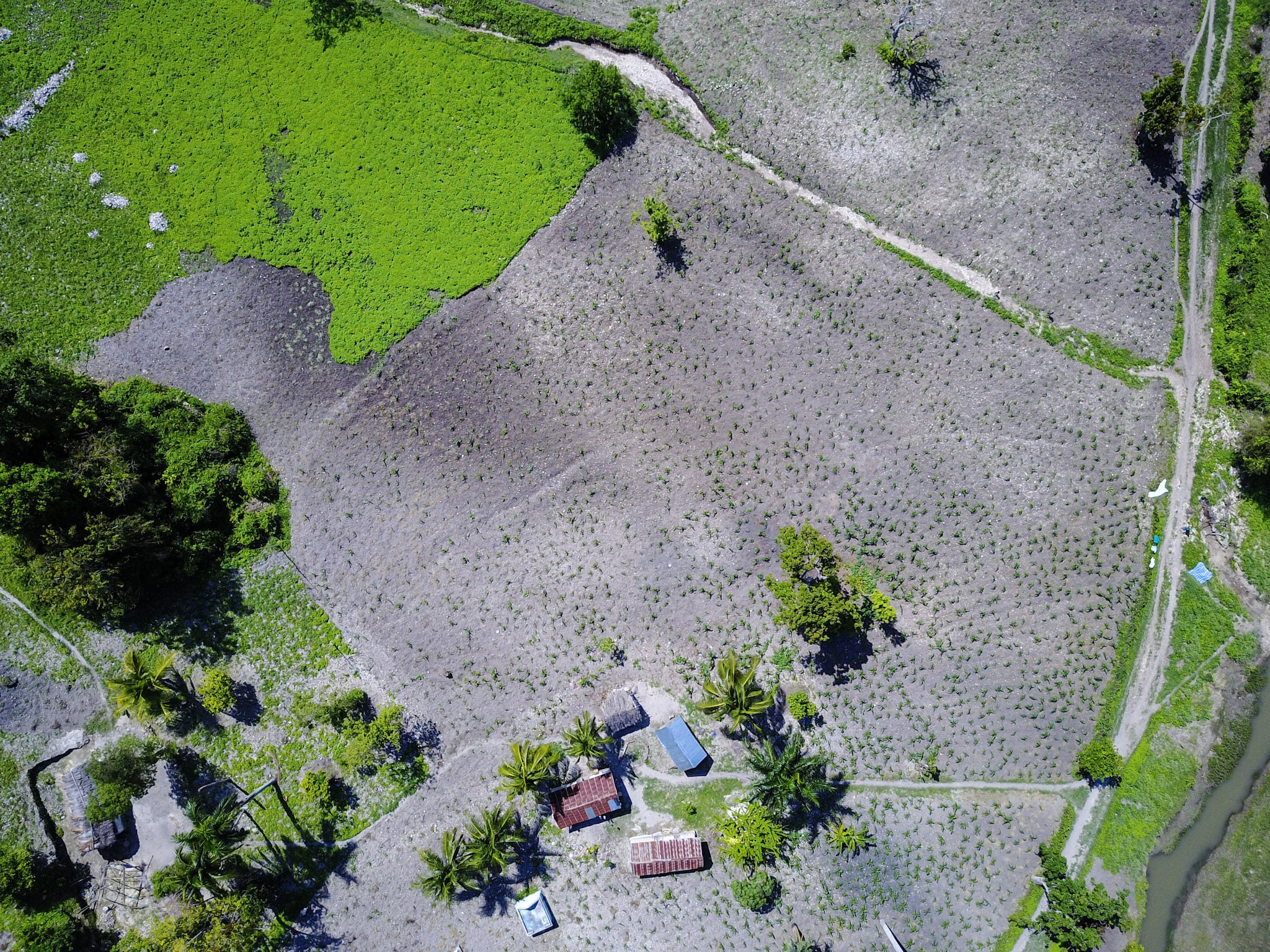 ADF Haiti Overhead Drone Image of Jublee Farms, Showing Natural Obstacles