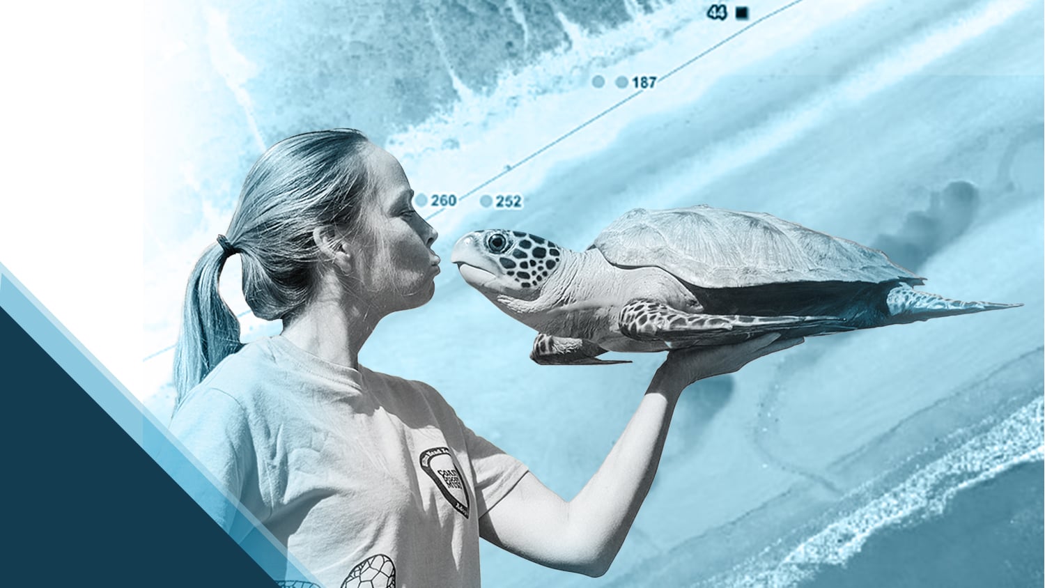 Amber Kuehn Customer Spotlight Hero Image Kissing Endangered Sea Turtle with GNSS GIS GPS map of nests in background