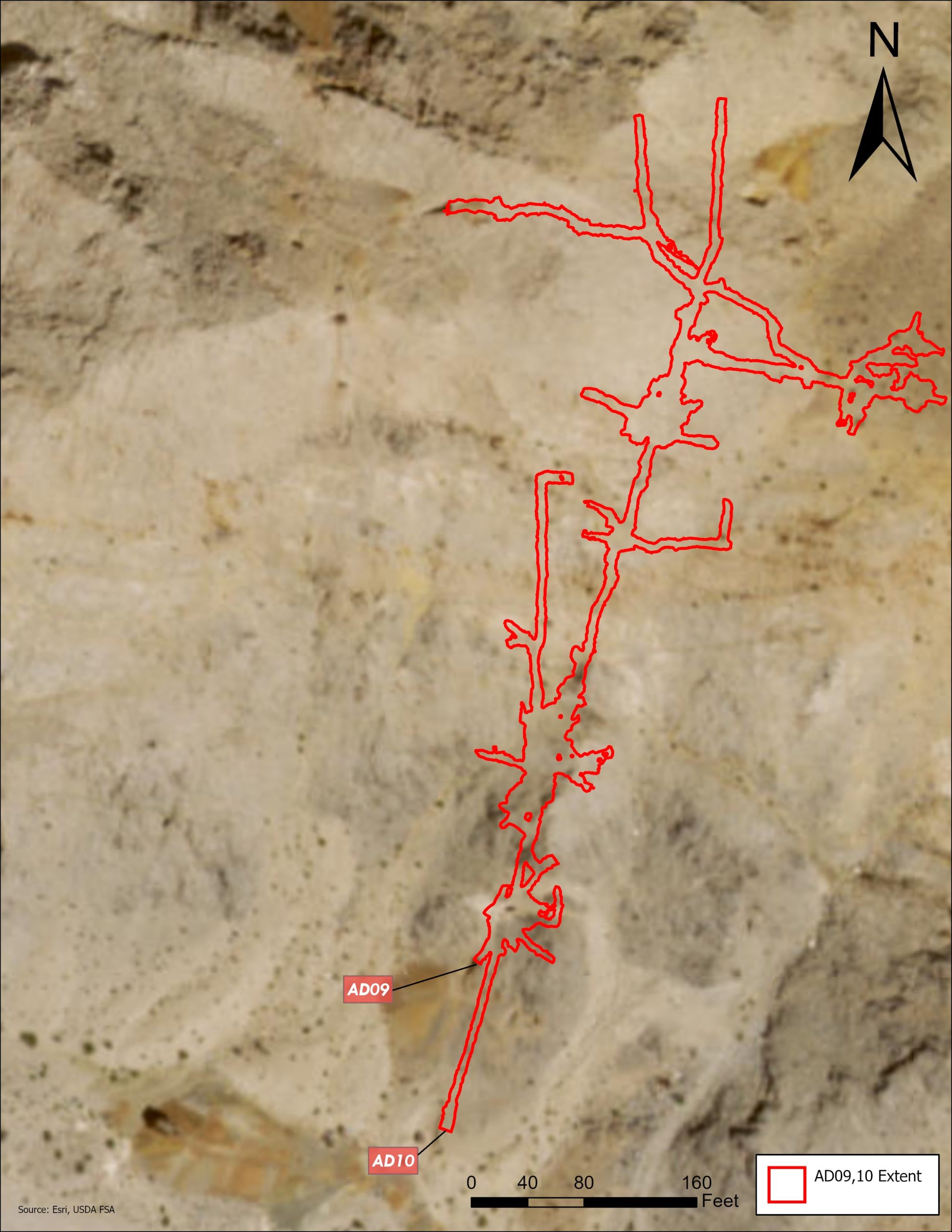 Bat Conservation International - LiDAR Georeference Arrow 100