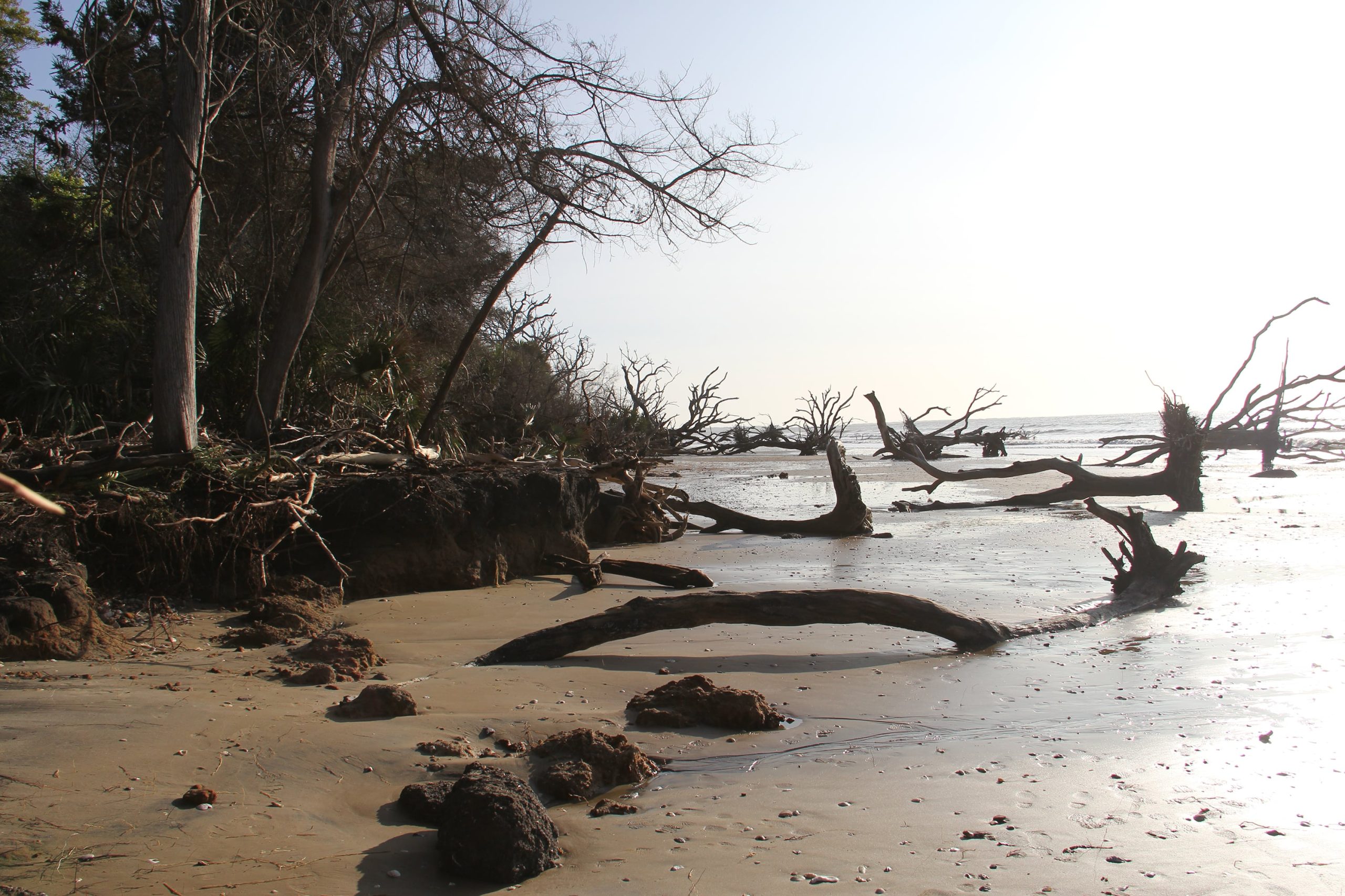 South Carolina Department of Natural Resources Shoreline Image on Pockoy Island with Eos Arrow GNSS