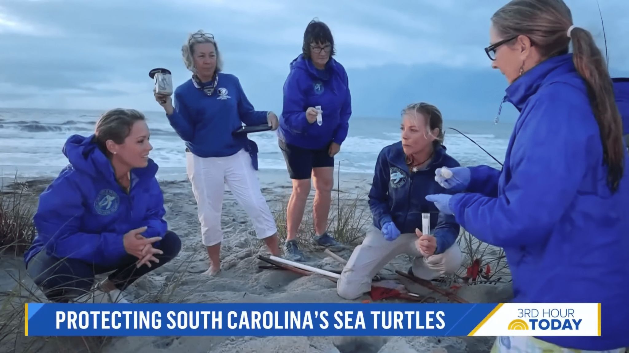 The Today Show Sea Turtle Patrol HHI