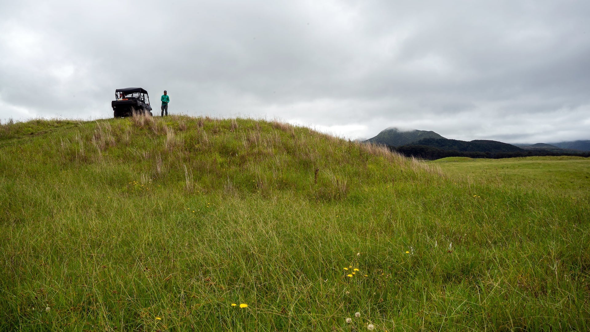 Terraformation crew member Aka overlooks the field of invasive grass that will soon be replaced with native trees mapped in high-accuracy