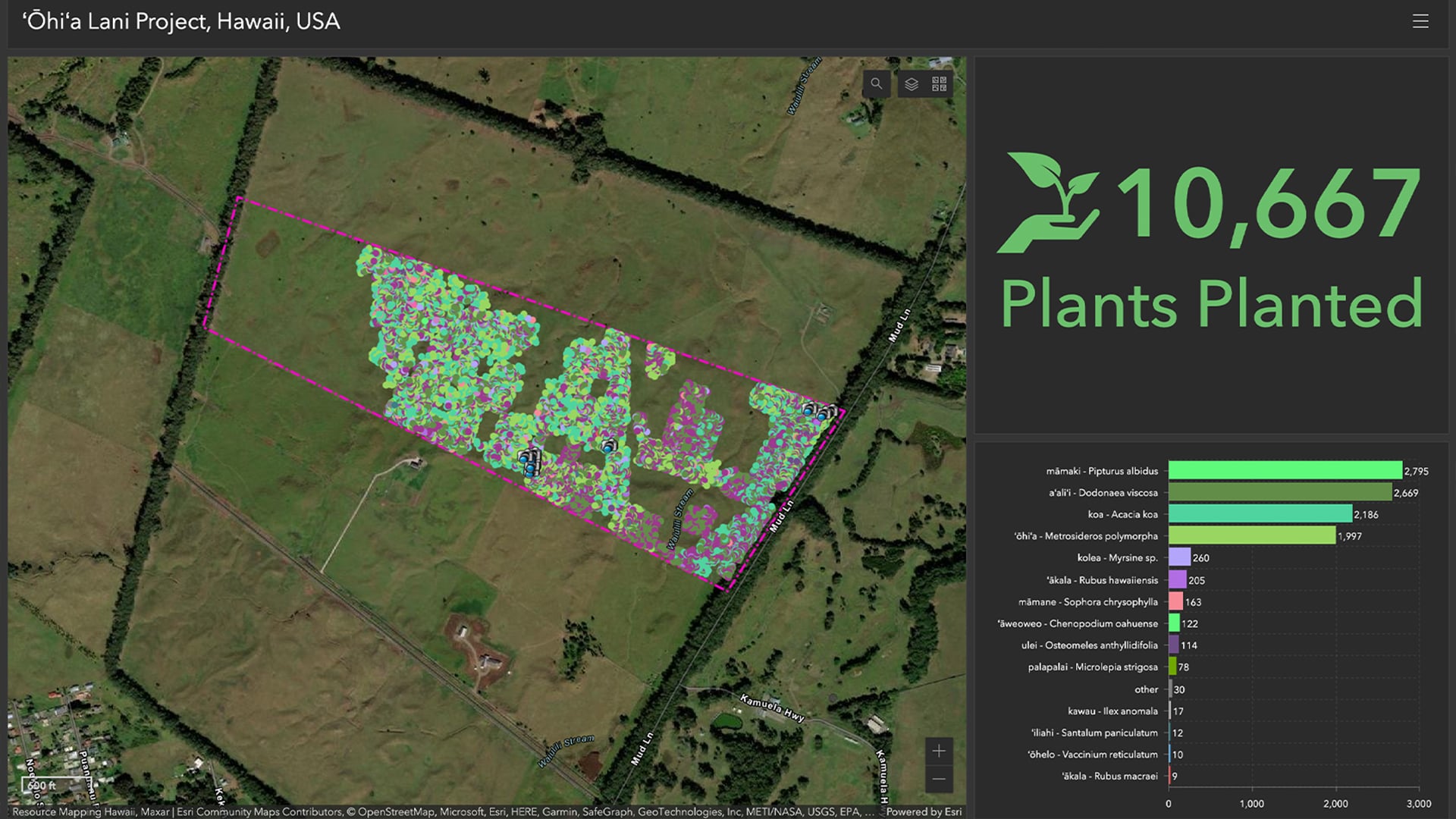 Terraformation uses ArcGIS Dashboards