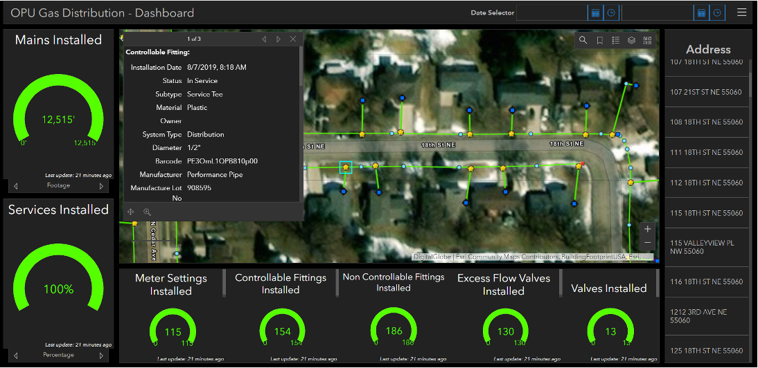 Damon Nelton Dashboard