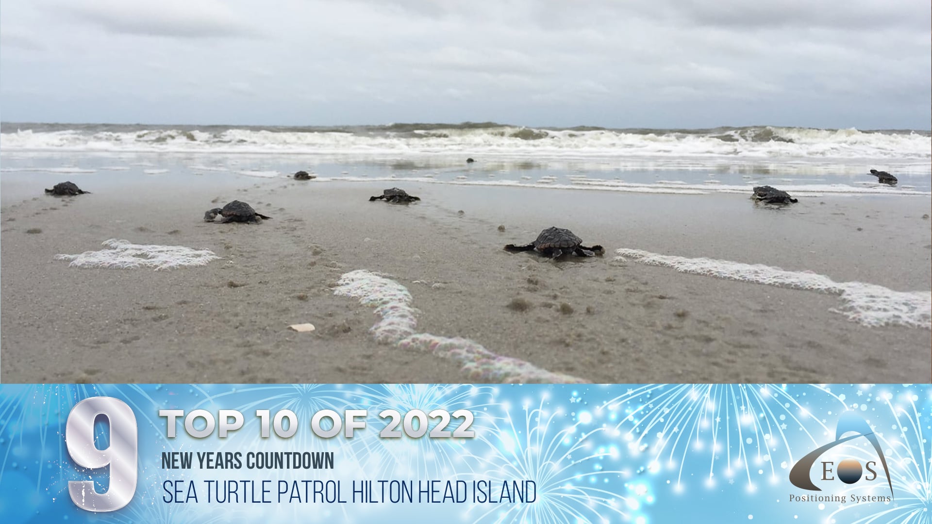 9 Sea Turtle Patrol Hilton Head Island - Top 10 of 2022