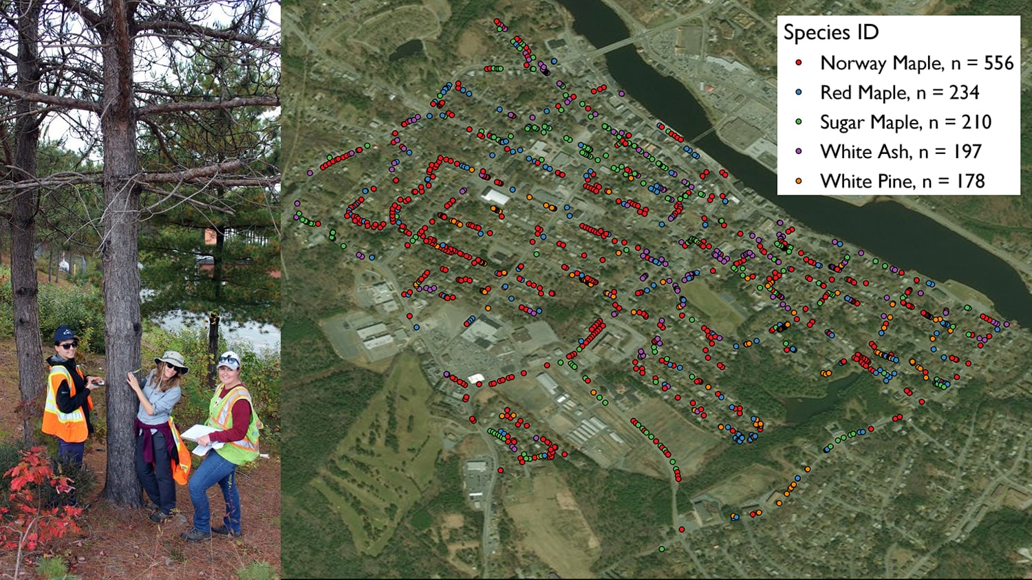Dalhousie University Takes Tree Inventory with Eos Arrow GNSS Receivers