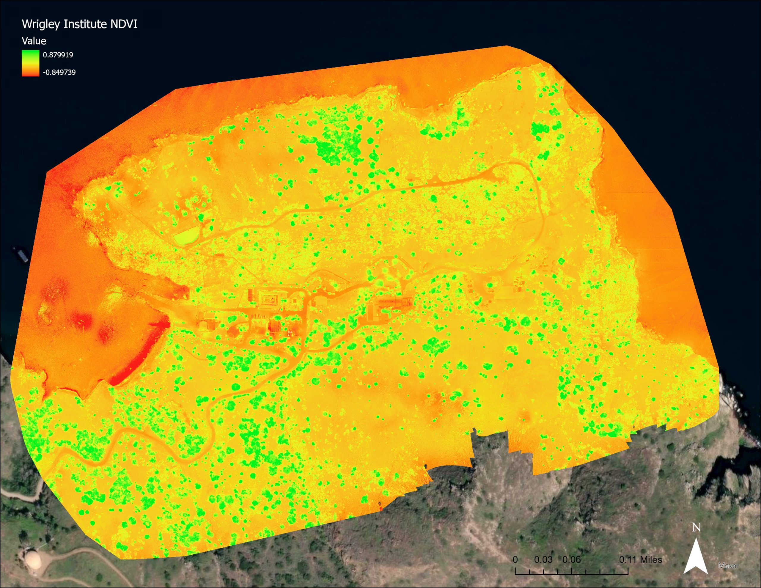 A high-accuracy normalized difference vegetation index (NDVI) taken at Catalina Island by University of California USC students