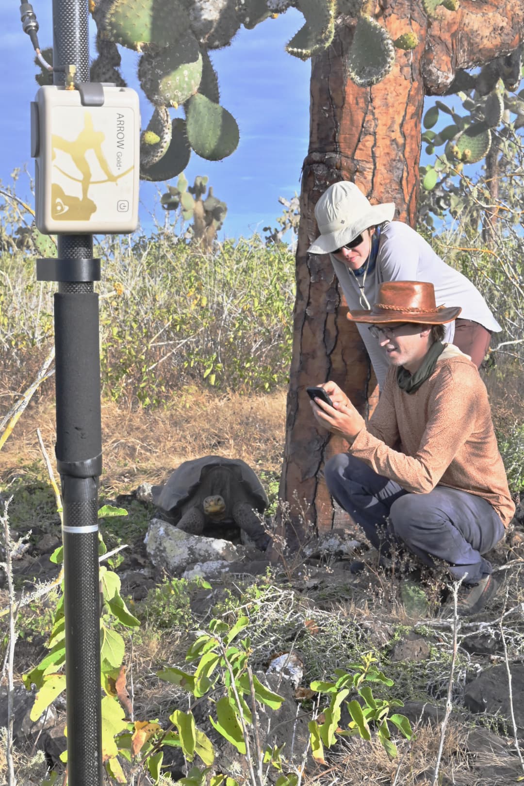 Santa Fe Island, Galápagos, Española Island tortoise, ecologist Charles Lehnen and field assistant Mary Cate Hyde, Arrow Gold+ GNSS receiver