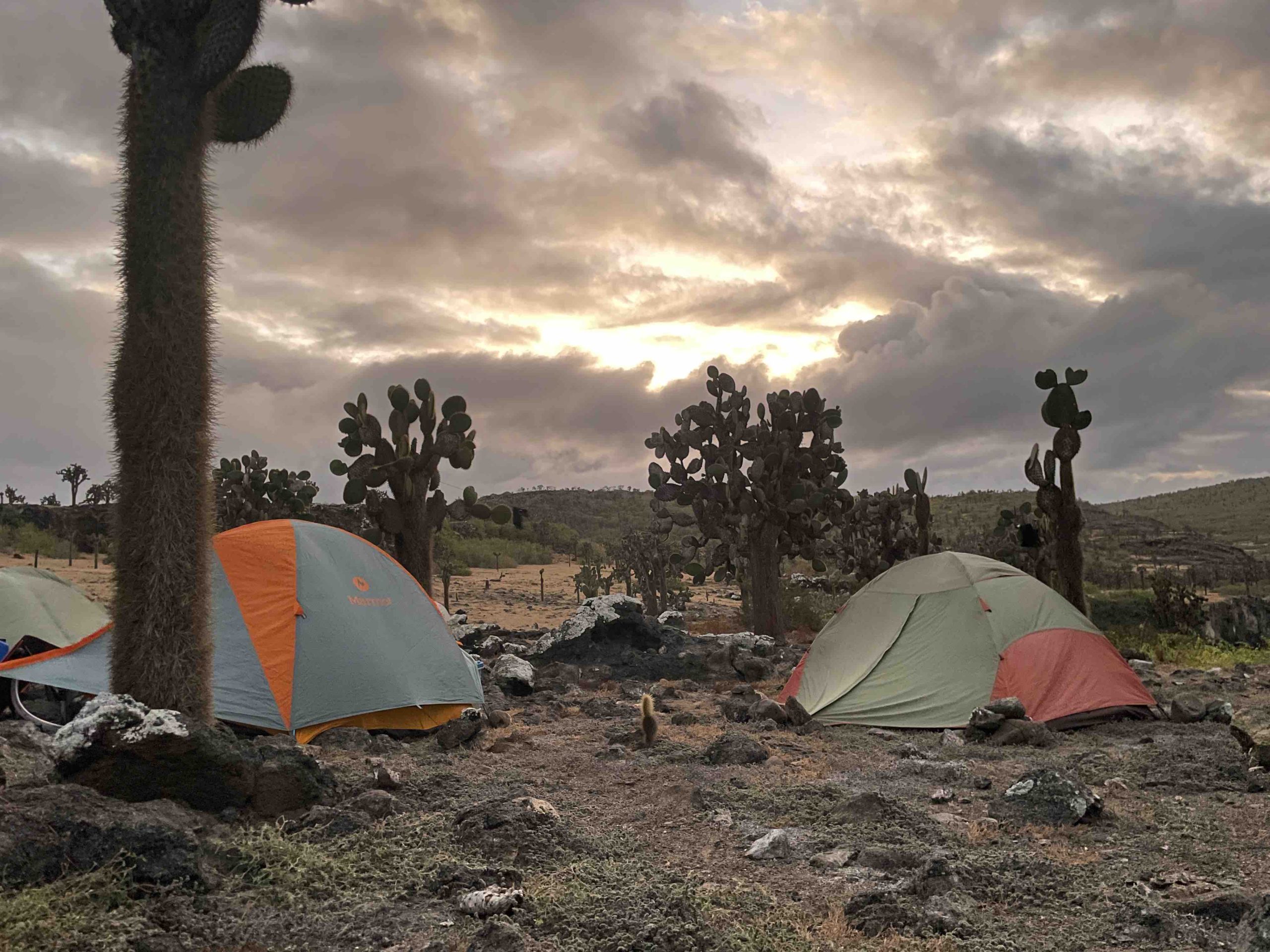 Galápagos camping tents 2023