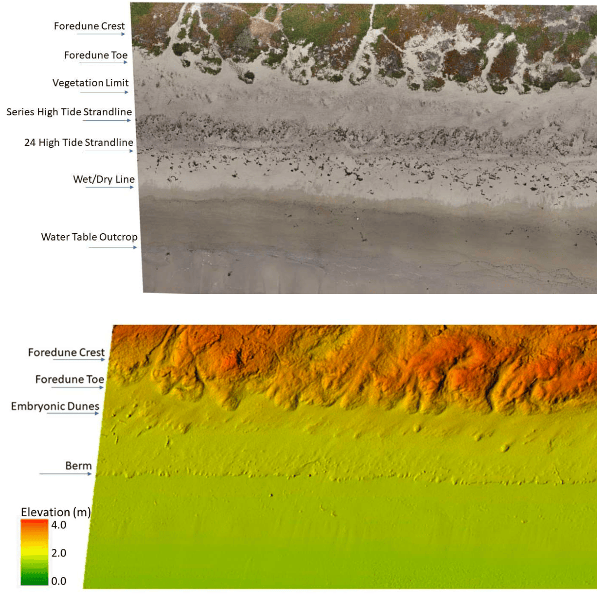 Orthomosaic and digital elevation model example for sea level rise study with drones, GNSS, GIS
