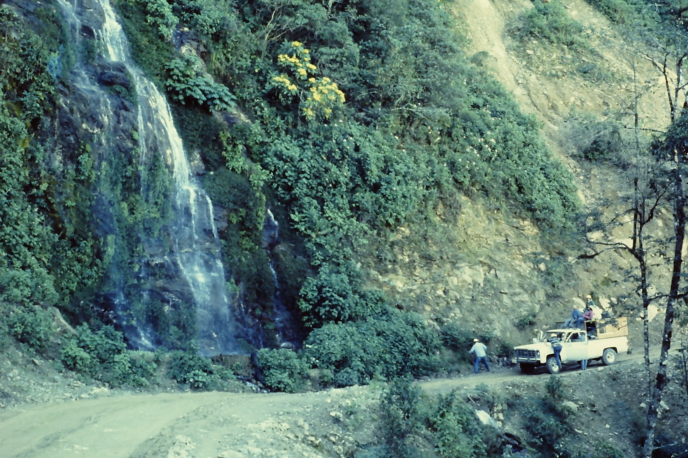 Taken in 1977, this photo shows an old road between Tehuacan and Oaxaca, leading to Huautla de Jimenez. At the time the now two-lane paved road was dirt. During the article author's first trip to Sistema Huautla, it took 8 hours to travel 60 km on this road. (Photo courtesy of Thomas Shifflett)