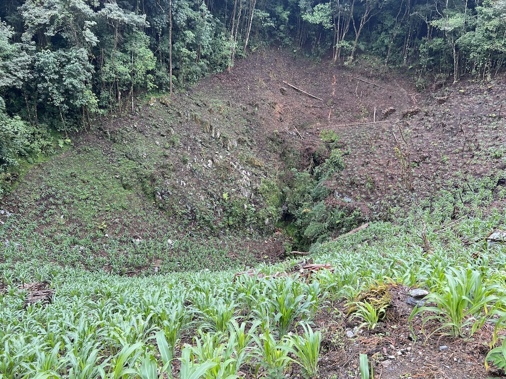 The same Nita Ka entrance is shown surrounded by agricultural corn fields. Due to how dramatically the entrance had changed since teh 1977 overland survey, Nita Ka proved extremely difficult to find. By locating the entrance and documenting its location using data from the Arrow 100, PESH now knows what potential leads might connect this cave to the Sistema Huautla, as well as approximately how far away from each other they are. (Photo by Matt Tomlinson)