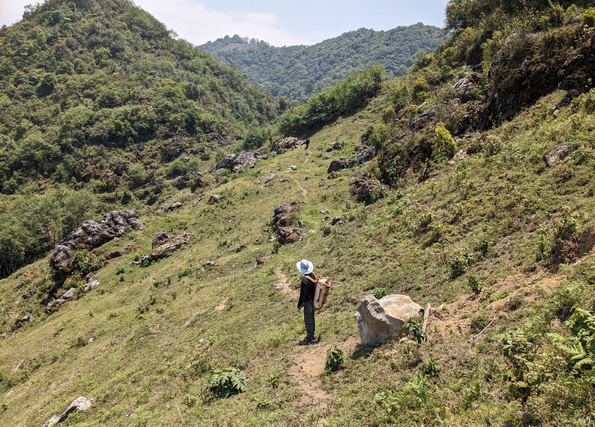 During 1977, an overland survey was launched to determine the locations of the known caves at the time. In the absence of roads, the researchers followed ancient trails, like the one shown here, which have been used for centuries by local Mazatecs to travel between villages, water sources, and farmland.