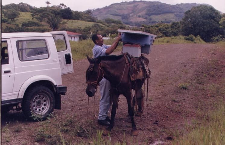 Coopeguanacaste's 90,000 customers are spread across 3,696 km², making it the country's most rural distribution company.